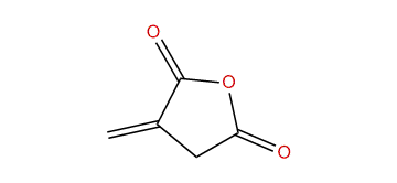 3-Methylenedihydro-2,5-furandione